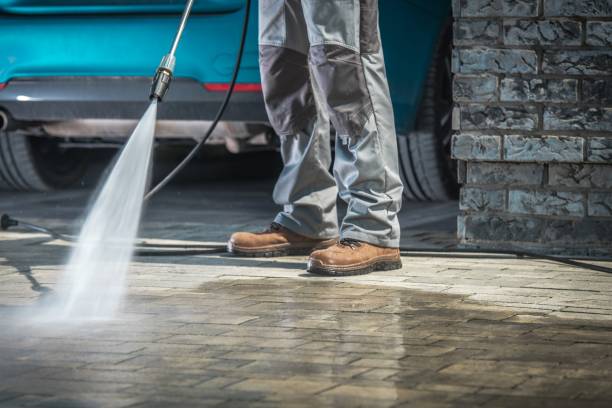Best Soft Washing  in Wabasso, FL