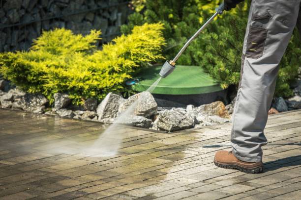 Best Restaurant Pressure Washing  in Wabasso, FL